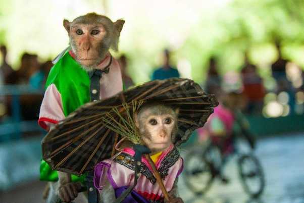 Du lịch Nha Trang 4 ngày 3 đêm (Du ngoạn vịnh Nha Phu - tham quan thành phố biển)